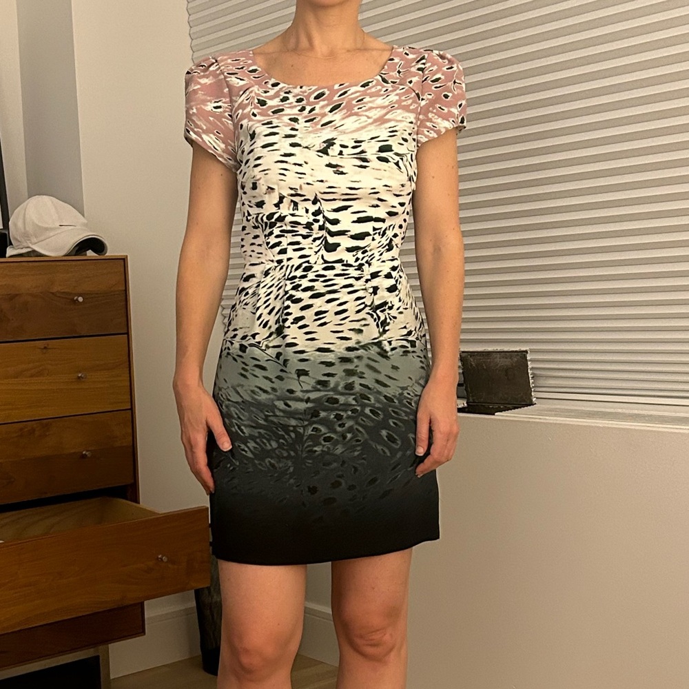Urban Outfitters Pink and Black Ombre Mini Dress